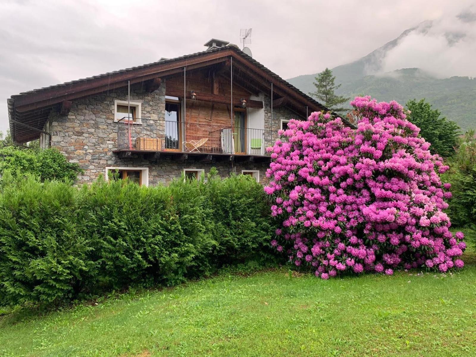 Casa Unica- Da Bruno Apartment Колико Екстериор снимка